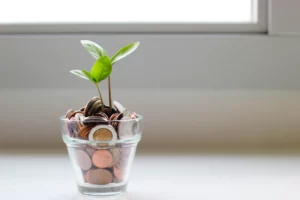 A plant growing out of money